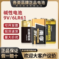Nanfu 9V Battery Nine Volt Alkaline Multimeter Toy Talk 6LR61 Square 6F22 (Combined Package) Dry Bat