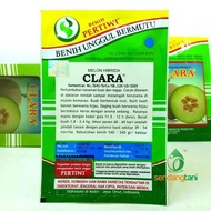 Melon CLARA F1 Benih Bibit Melon Tahan Virus Keriting dari Pertiwi
