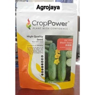 Benih Timun DC777 Black Steel F1 Hybrid Cucumber Crop Power - ( 100g ) 👍 💯