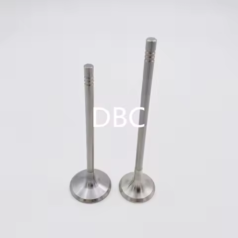Suitable for Mini R55 R56 R57 R60 Bmw F20 F30 116I 316I N13 N18 Engine Intake Valve Exhaust Valve 11