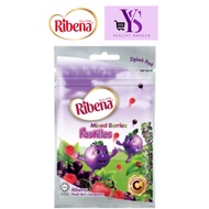 Ribena Pastilles Mixed Berries