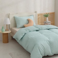 單人/冬月羽絨被/好收納、可機洗、免被套、超保暖-細格綠