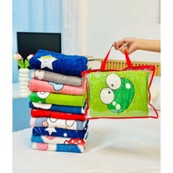 Nano Blanket 4 Feet Thin Model Soft And Light Easy To Carry