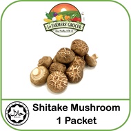 Shiitake Mushroom 花菇 生香菇 200g 1pkt Fresh Veg