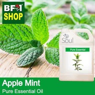 Pure Essential Oil (EO) - Mint - Apple Mint ( Mentha Suaveolens ) Essential Oil - 5L