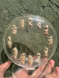 一套罕有的‘十二生肖’  龍婆笨 2538年開光 純銀版‘十二生肖’  平常一隻都難找 何況是集齊了12隻😍