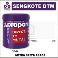 Cat Seng & Galvanis Anti Karat Propan Sengkote 1KG / PROPAN