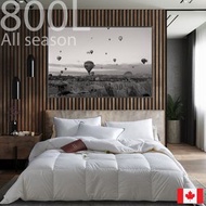 HIghland Feather - 加拿大極致輕柔羽絨冷氣被 四季被 - 單人