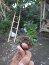 cincin stigi laut asli