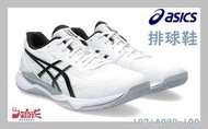 【大自在】 Asics 亞瑟士 排羽球鞋 GEL-TACTIC 12 白黑銀 男女款 大尺碼 1071A090-100