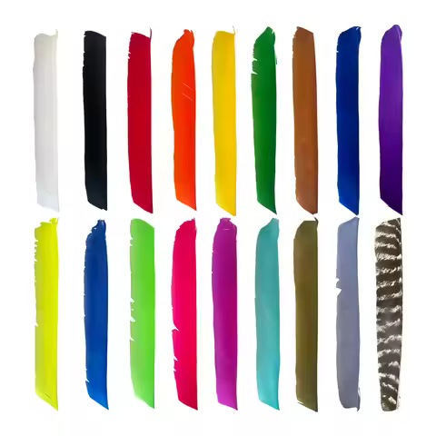 50Pcs Natural Feather Long Feather Fletching Arrow Feathers Multicolor Full Length Real Turkey Feath