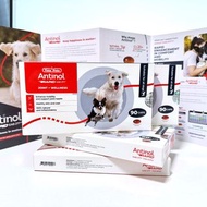 Antinol Rapid for Dogs 關節保健品 犬用 90Caps 原裝行貨
