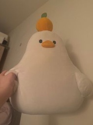 Dtto friends 娃娃 造型抱枕hoya