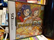 NDS game