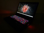 MSI微星電競17.3吋筆電i7 7700HQ,GTX1060-6G,16G Ram,512G SSD+1TB
