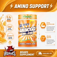 VMI Aminogex EAA + BCAA | Amino Acid Supplement for Exercisers