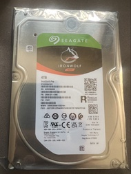 Seagate IronWolf Pro 4TB NAS 專用硬碟（型號：ST4000NE001）