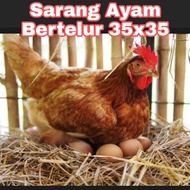 Sarang Tempat Ayam Bertelur Dari Jerami Padi Ukuran Besar 35*35