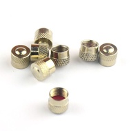 Popular Mesh Copper Copper Car Tire Valve Cap Valve Cap Nickel-Plated Tool Cap Leak-Proof Valve Core