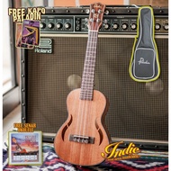 Uk 33 Concert Ukulele Brand Paladin Guitar