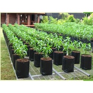 Polibeg hitam / Polybag / Tanam benih, nurseri, pokok kecil / Tebal &amp; tahan lama / Fertigasi / polybag lada &amp; sayur