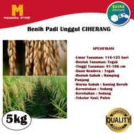 Benih PADI Ciherang Bibit Padi Unggul 5kg BG0143