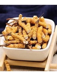 Cordyceps Cordyceps Cordyceps Wild Cordyceps Bulk Cordyceps ไม่ใช่ทิเบต Nagqu