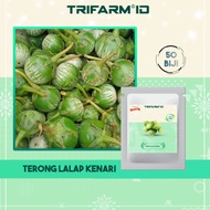 TRIFARM Benih Terong Lalap Kenari F1 Isi 50 Biji Repack Kemasan