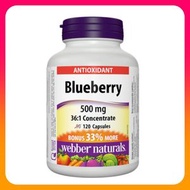 Webber Naturals - 明目抗衰老濃縮藍莓精華 36 : 1 (500 毫克) 加量裝 (多 33 ％) 120 粒 護眼防藍光抗氧化衰老逆齡美肌視力 (效期:01/2029*)