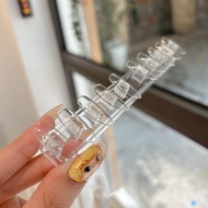 Transparent Mica modeling nail base 10 nails