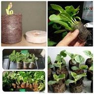 10X PCS  ORGANIC COCONUT PEAT PELLETS FERTILIZER SUPPORT SEED GERMINATE