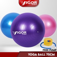 75CM High Quality Gym Ball Anti-burst Yoga Ball (FREE PUMP)