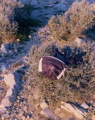 日本代購直送🇯🇵✈️ Beams boy x ARC’TERYX/Mantis 1 EX  Arcteryx 斜咩袋 不死鳥