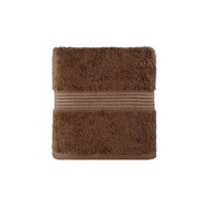 Aero Towel 27x54 Inches Brown