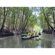 KAYAK Mangrove Langkawi