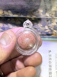 龍婆趁乃人緣珠