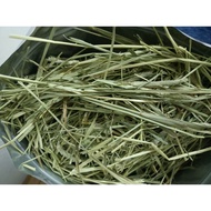 USA Premium 1st Cut Timothy Hay - Value Pack
