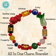 ALL IN ONE CHARM BRACELET LUCKY BRACELETS FOR ADULTS AND KIDS FENG SHUI BRACELET