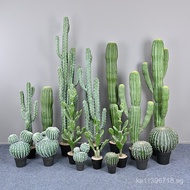 Home Decor Simulation Tropical Decor Fake Plant Cactus Shop Desert Cactus Ornament Cactus Green Plan