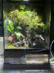Exo Terra 玻璃爬蟲缸