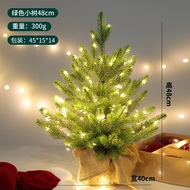 Miniature Pure PE Christmas Tree 48/60cm 2025 ใหม่ DIY ตกแต่งโต๊ะบ้าน ต้นไม้ประดับคริสต์มาส ไฟ LED ต
