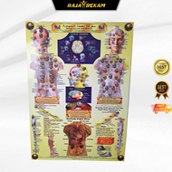 Poster Panduan Bekam / Poster 9in1 /  Peta Titik Bekam A3 / Poster Titik Akupuntur / Poster Fashdu /