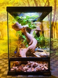 訂做 爬蟲缸 苔蘚微景 水陸缸 生態缸 角蛙 睫角 蜥蜴 守宫 蟹 樹蛙 角蛙 爬蟲 爬寵 飼養箱 魚缸造景 造景設計 桌面擺設 室內裝飾  玻璃缸