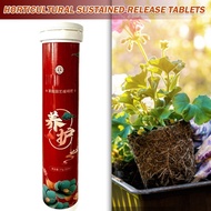 22PCS/Bottle Universal Slow-release Tablet Organic Fertilizer All-purpose for Home Gardening