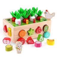 SKYFIELD Montessori Wooden Garden Toy for Baby Boys Girls 1 2 3 Years Old, Fine Motor Skills Develop