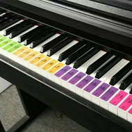 Piano keyboard Sticker Colorful piano label Sticker 88 key piano tut Sticker SP88Color Stickers