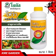 🍄อาหารเสริม🍄 โฟว่า แคลเซียมโบรอน ขนาด 1 ลิตร เพิ่มการผสมเกสร ติดผลดก ลดปัญหาผล เถา และต้นแตก ช่วยให้