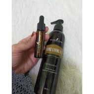 V6 Young Living oil repacking 10ml