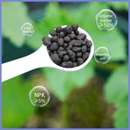 ℗ ◮ bougainvillea fertilizer 500g fertilizer for bougainvillea