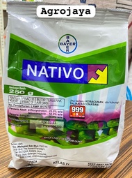 Nativo- 20g(repack) Trifloxystrobin 25% + Tebuconazole 50% Bayer Racun Kulat Fungicide.